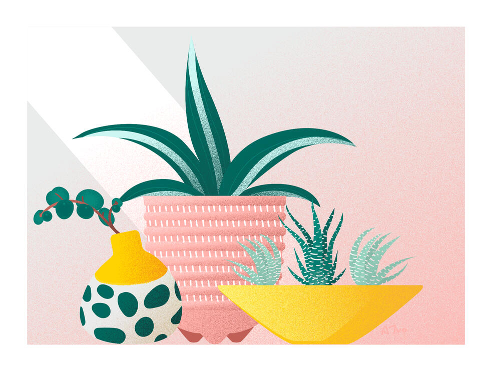 Soft Plants, 2021, 14x11"